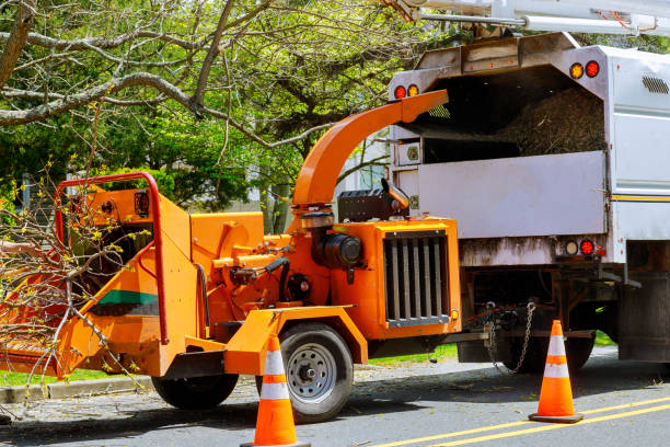 Best Utility Line Clearance  in Vevay, IN